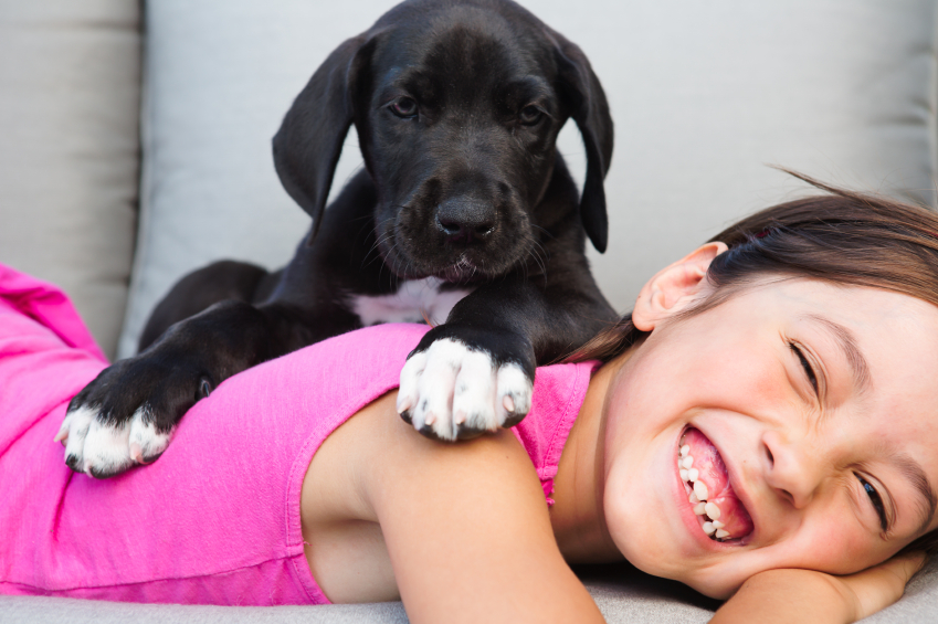 5 Things to Consider Before Getting a Family Pet one tough job